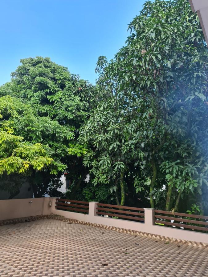 Lychee Bungalow دهرادون المظهر الخارجي الصورة
