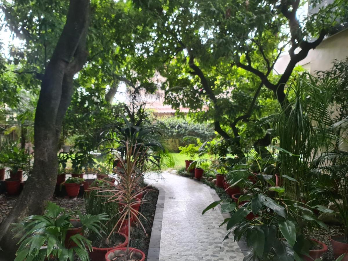 Lychee Bungalow دهرادون المظهر الخارجي الصورة